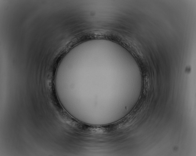 X0000101090698200807171848