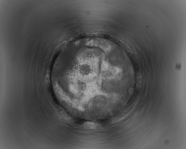 X0000101090699200807171848