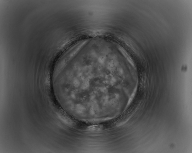 X0000101090700200807171848