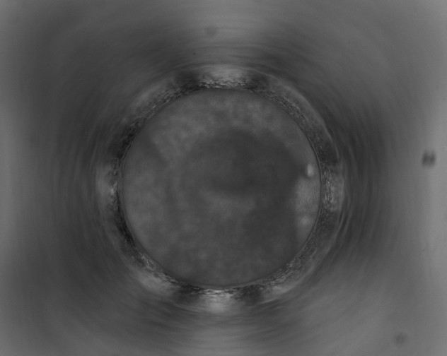 X0000101090701200807171848