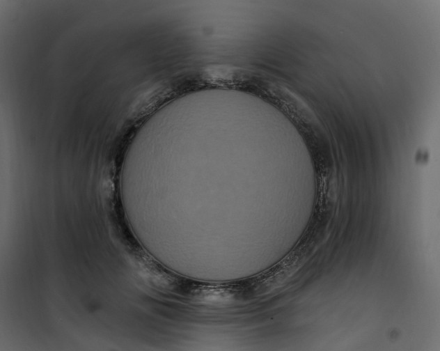 X0000101090702200807171848