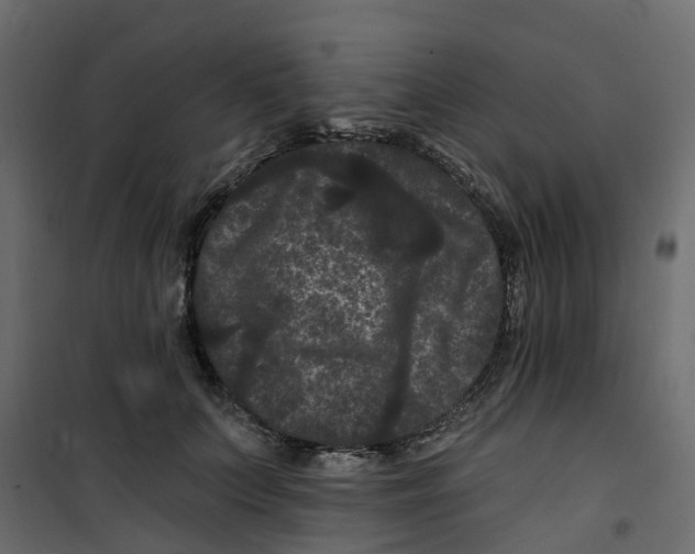 X0000101090703200807171848