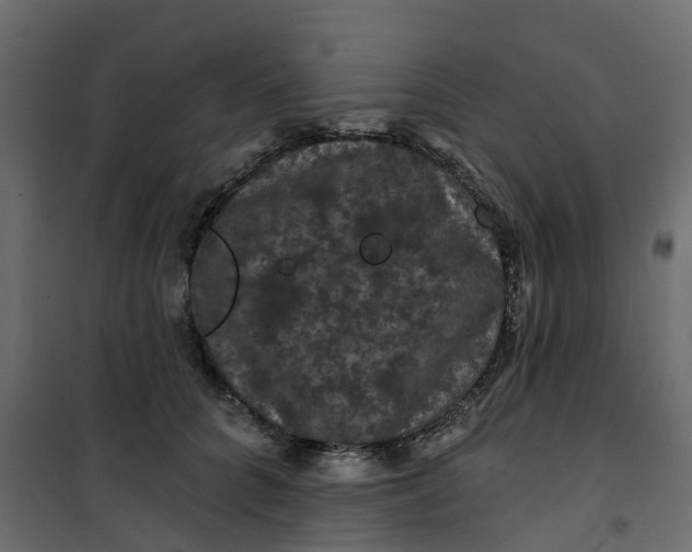 X0000101090704200807171848