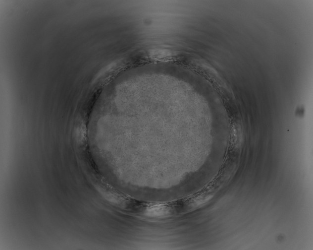 X0000101090705200807171848