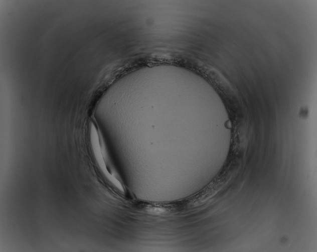 X0000101090706200807171848