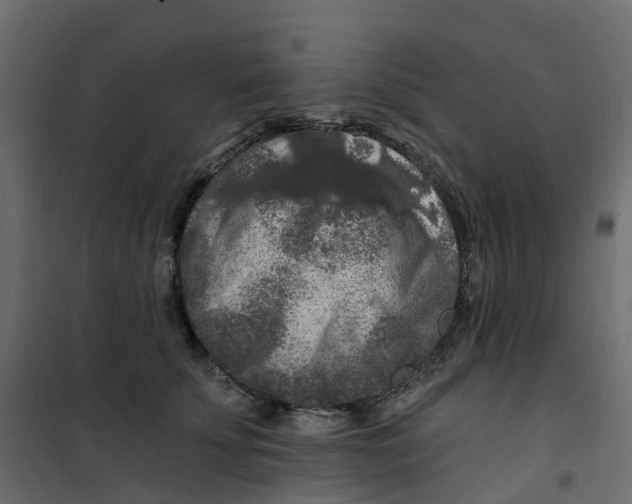 X0000101090707200807171848