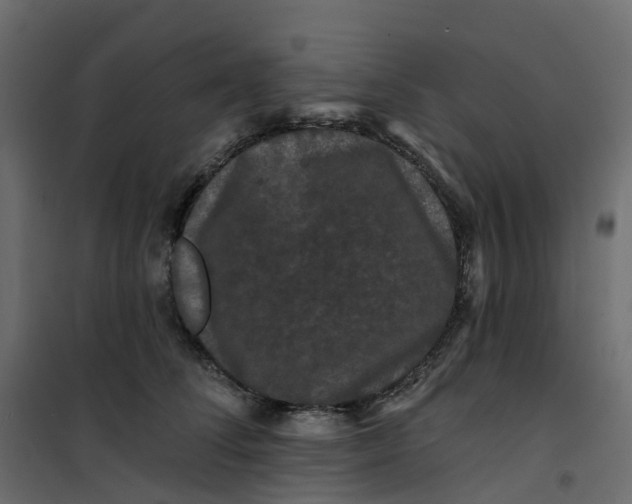 X0000101090708200807171848