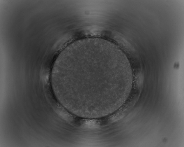 X0000101090709200807171848