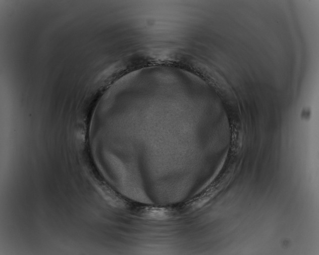 X0000101090710200807171848