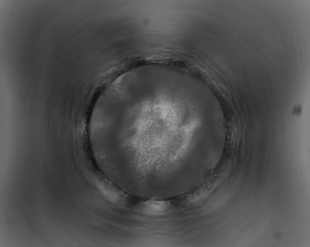 X0000101090711200807171848