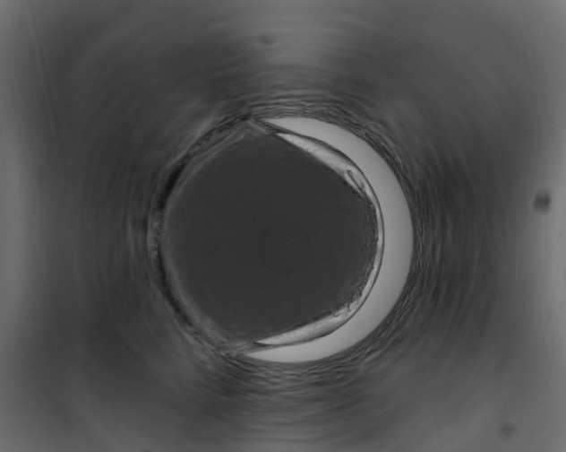 X0000101090712200807171848