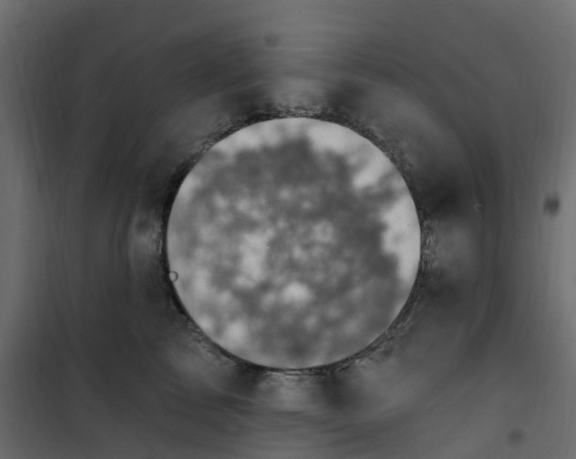 X0000101090713200807171848