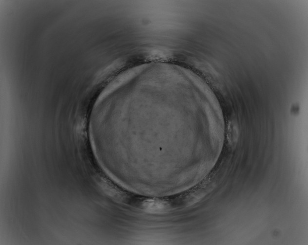 X0000101090714200807171848