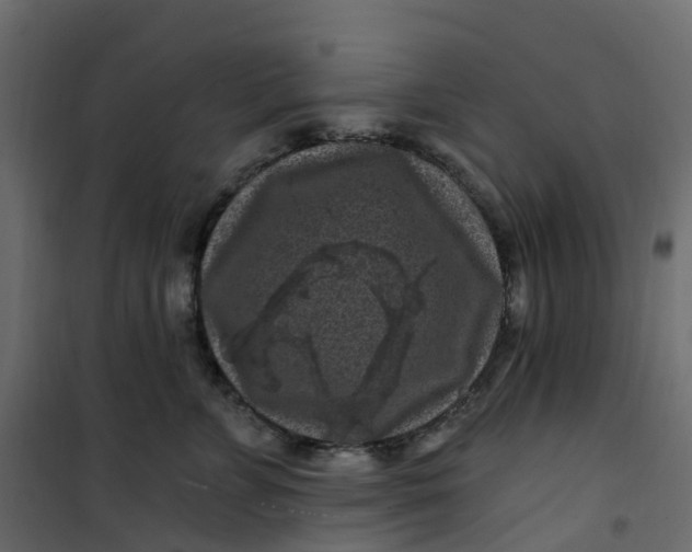 X0000101090715200807171848