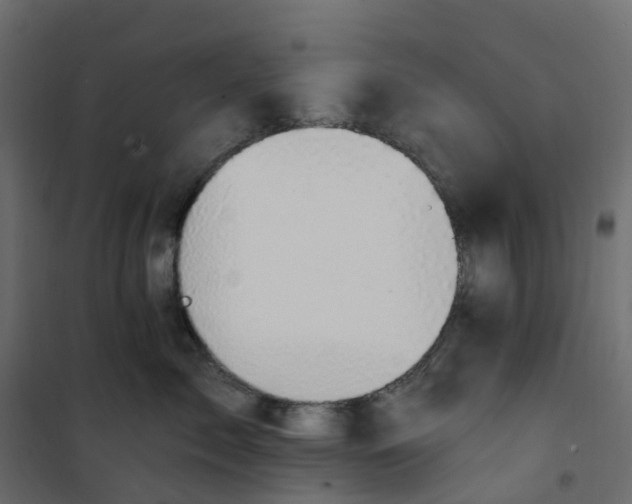 X0000101090717200807171848