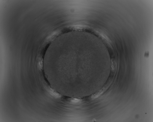 X0000101090718200807171848