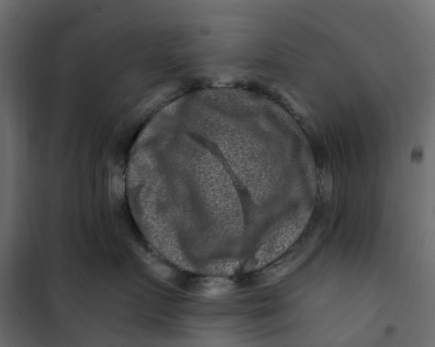 X0000101090719200807171848