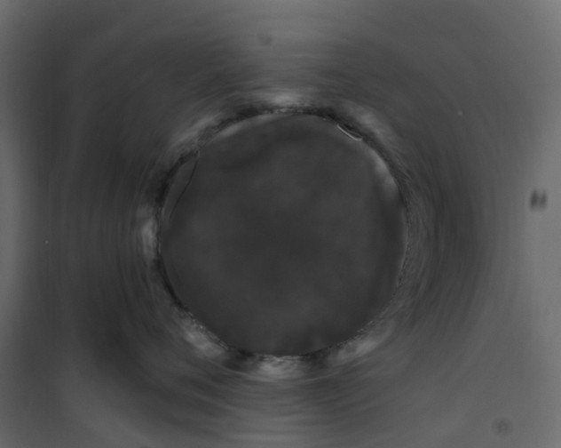 X0000101090720200807171848