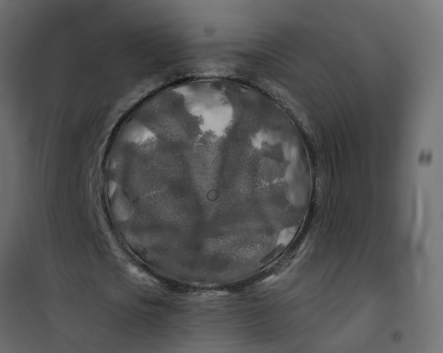 X0000101090721200807171847