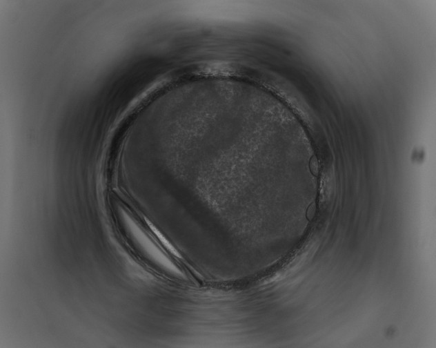 X0000101090722200807171847