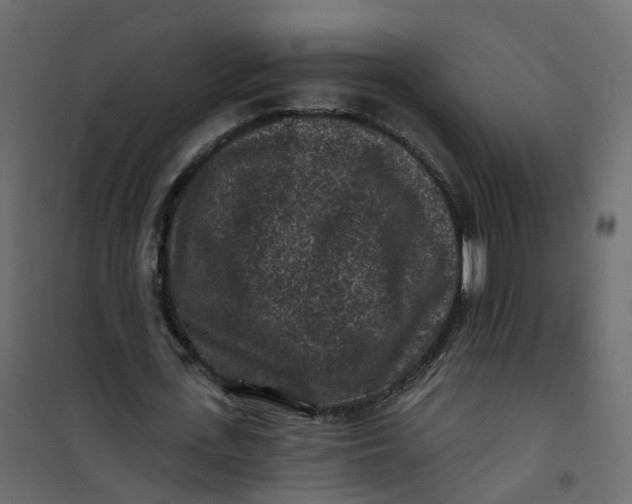 X0000101090723200807171847