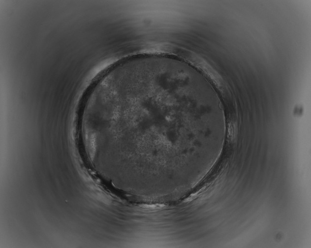 X0000101090724200807171847