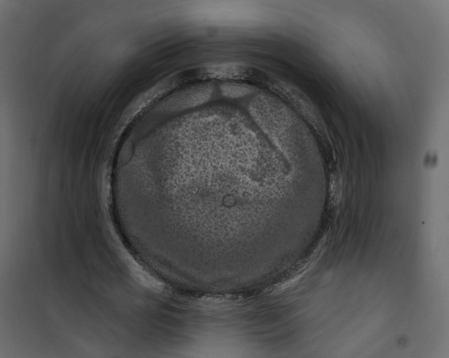 X0000101090725200807171847