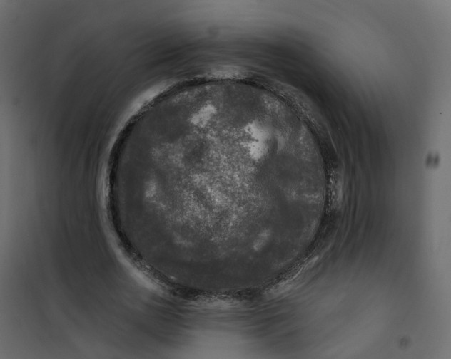 X0000101090726200807171847