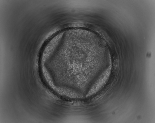 X0000101090727200807171847