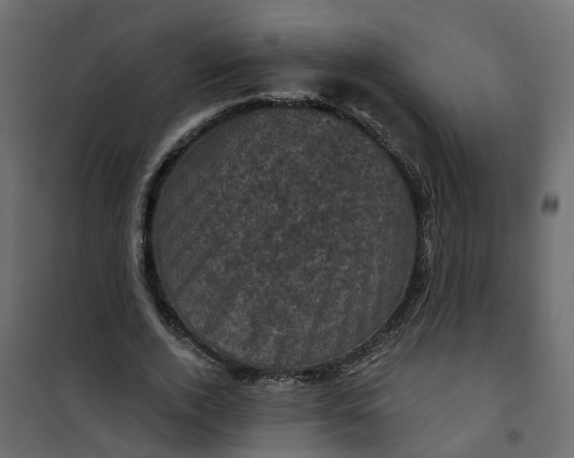 X0000101090728200807171847