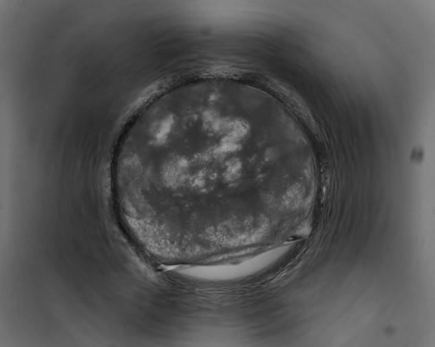 X0000101090729200807171847