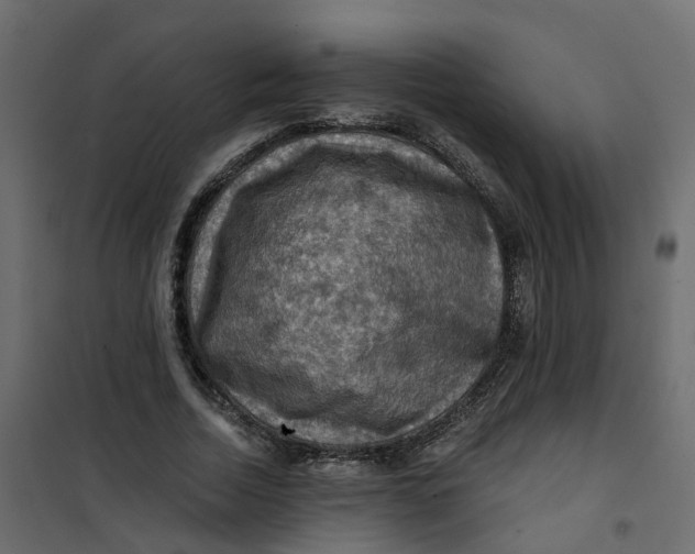 X0000101090730200807171847