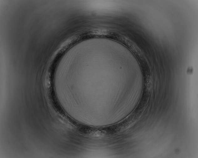 X0000101090731200807171847