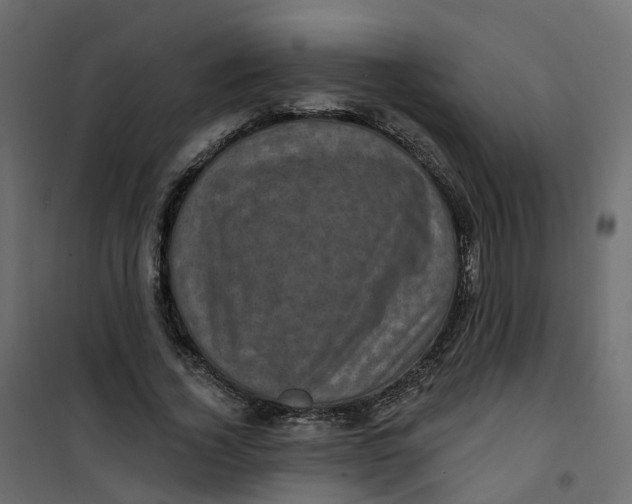 X0000101090732200807171847