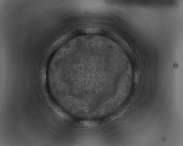 X0000101090733200807171847