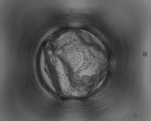 X0000101090734200807171847