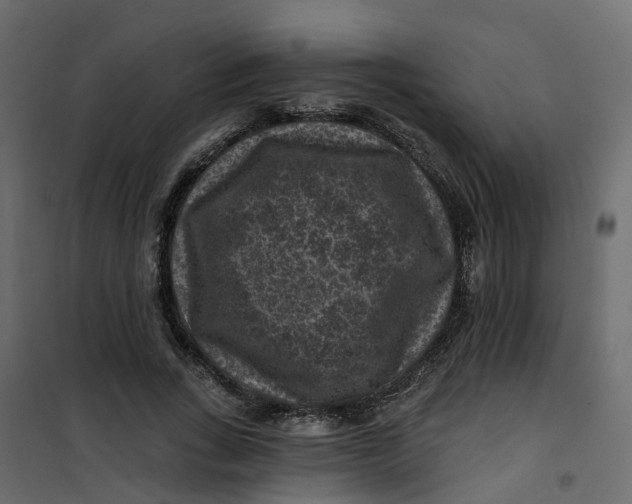 X0000101090735200807171847