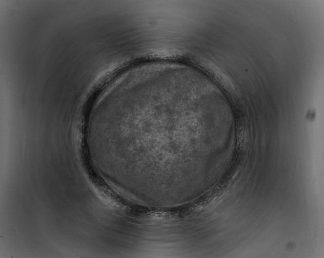 X0000101090736200807171847