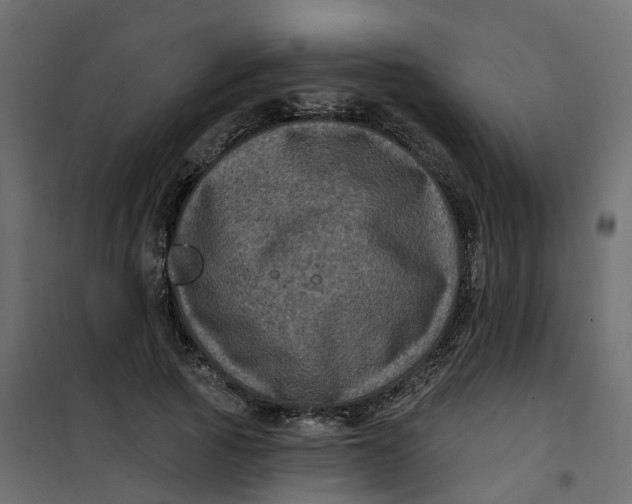 X0000101090737200807171847