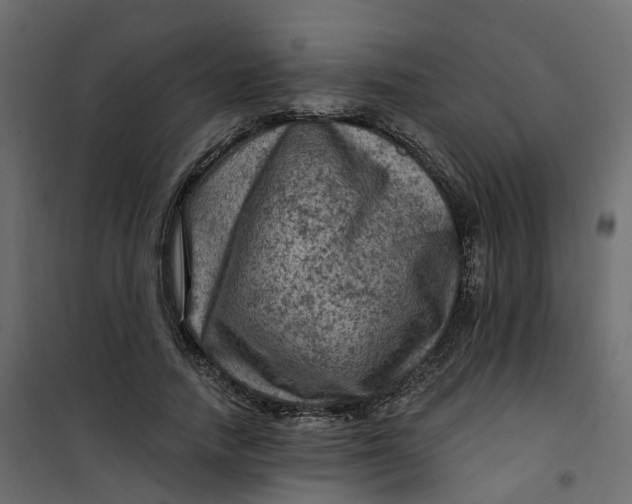 X0000101090738200807171847