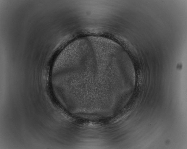 X0000101090739200807171847