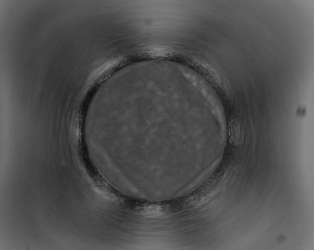 X0000101090740200807171847