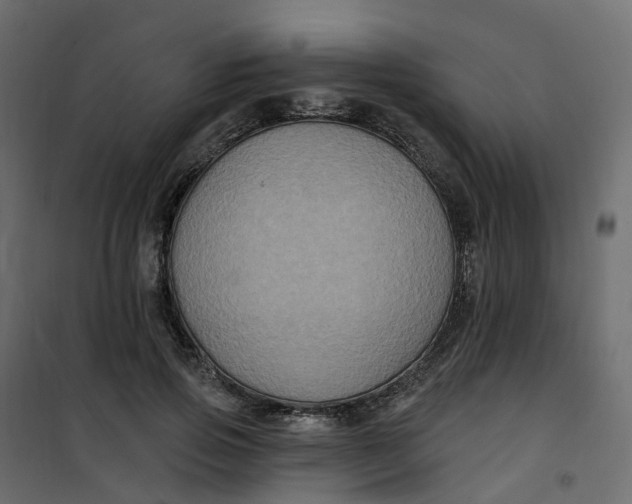 X0000101090741200807171847