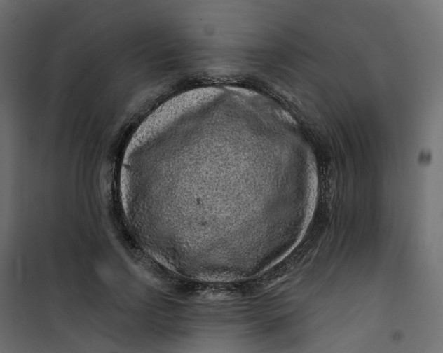 X0000101090742200807171847