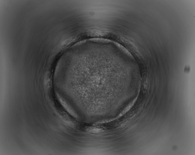 X0000101090743200807171847