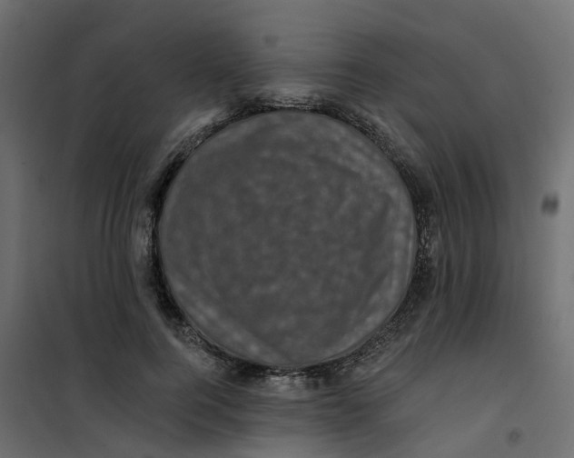 X0000101090744200807171847