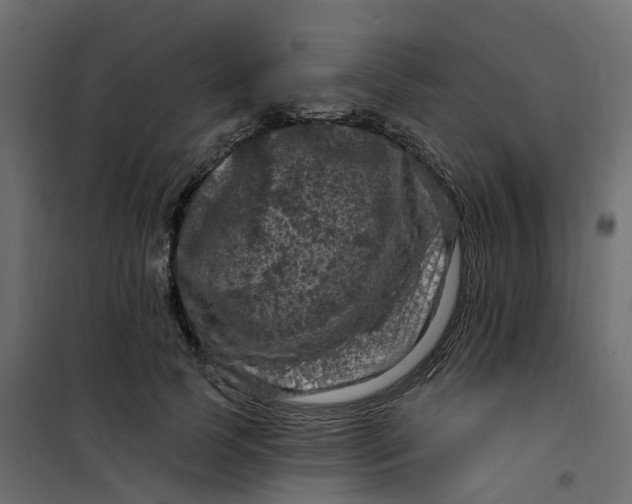 X0000101090745200807171847