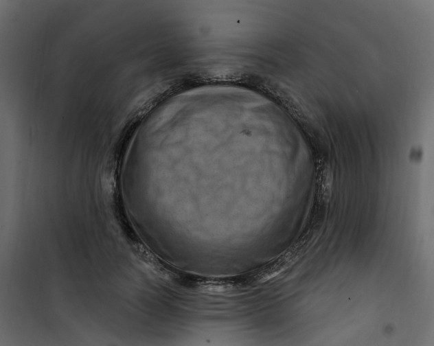 X0000101090746200807171847