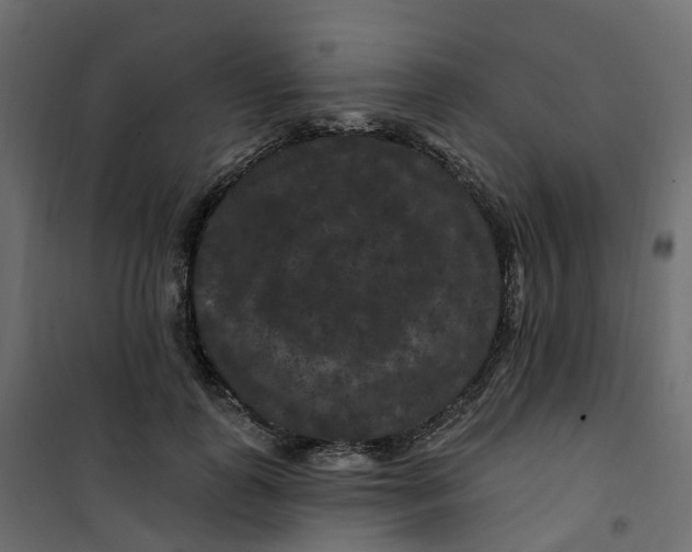 X0000101090747200807171847