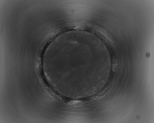 X0000101090748200807171847